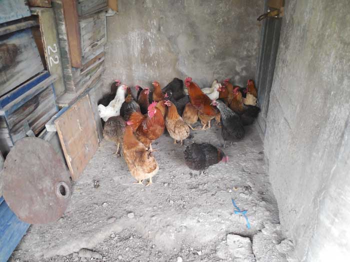 Agribusiness on the Border – Baghanis
