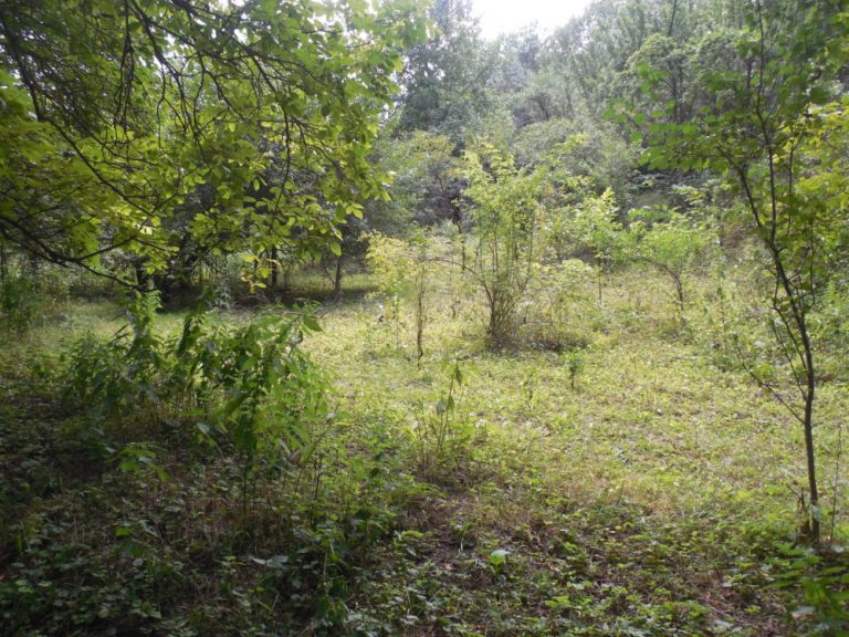 Location where the brand new Baghanis Kindergarten will be constructed.