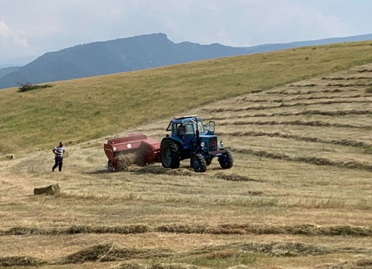 In the fields of Baghanis operating at full capacity.
