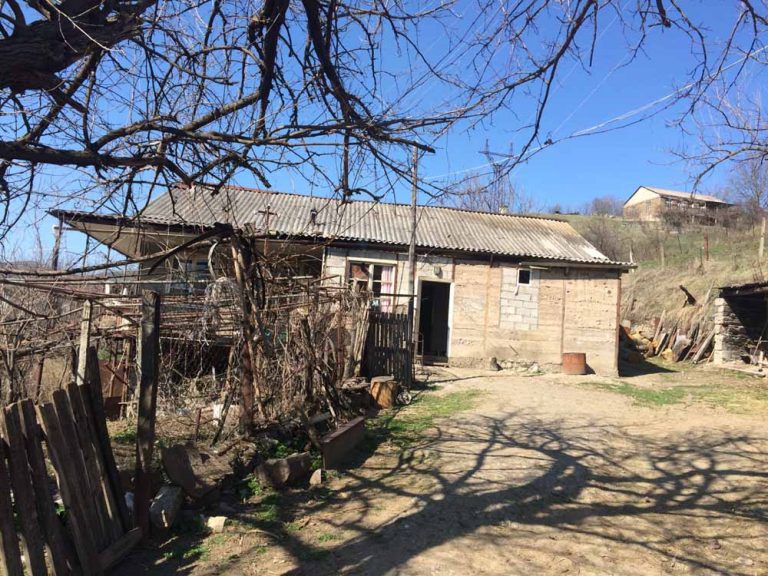 Agribusiness on the Border 13: Alik A. Family
