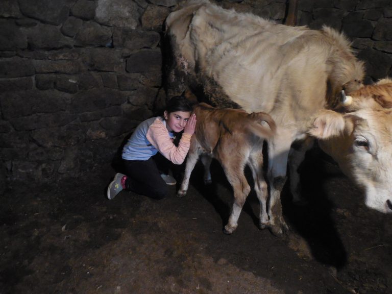 Hovannes' daughter is very excited about her new friends.