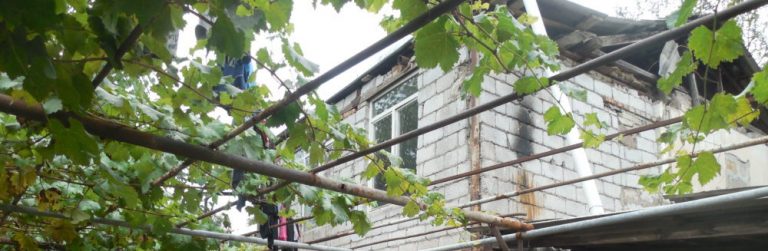 Agribusiness on the Border 17: Garnik G. Family