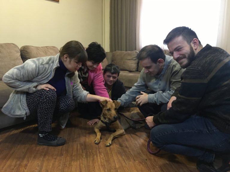 Oknooshoon dog handler and "Dobby" visit residents at Warm Hearth.