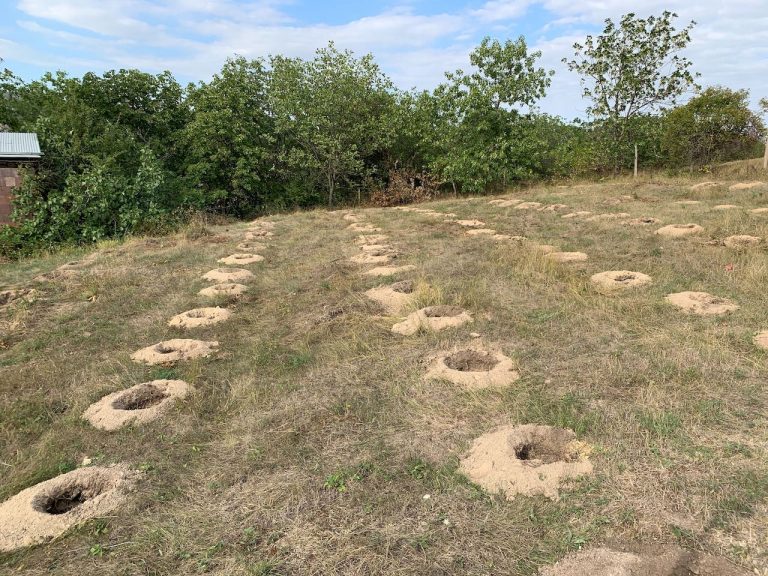 The school grounds provided a safe and secure space for our test orchard.