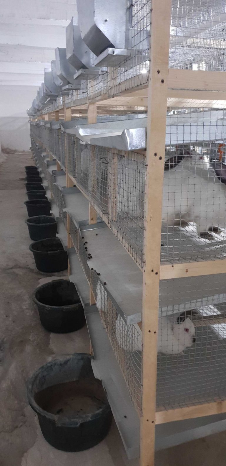 Our first batch of rabbits have been delivered.