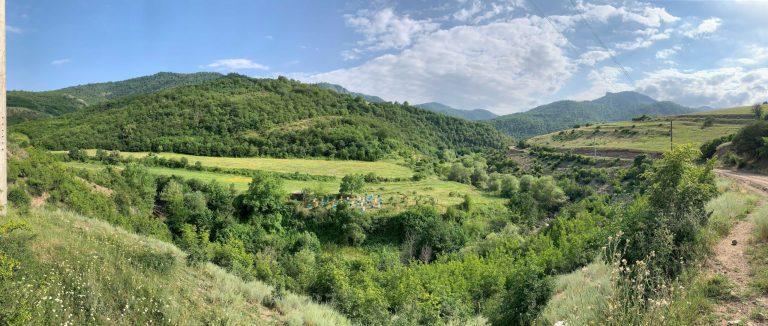200 Bee Hives for Tavush